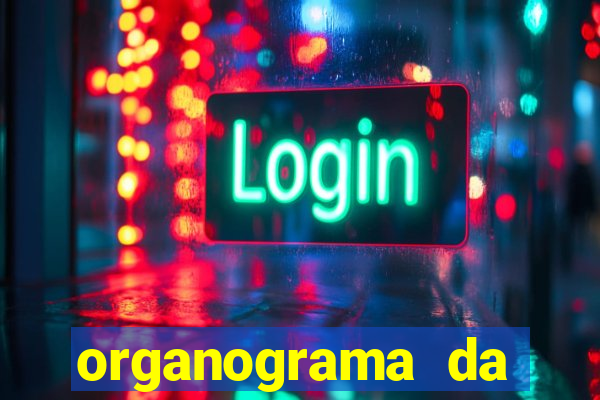 organograma da cacau show