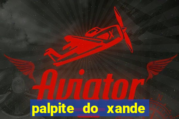 palpite do xande de hoje