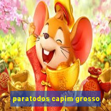 paratodos capim grosso