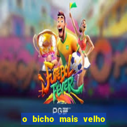 o bicho mais velho da loteria dos sonhos