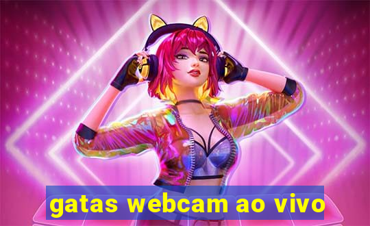 gatas webcam ao vivo