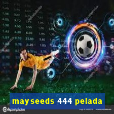 mayseeds 444 pelada