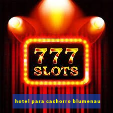 hotel para cachorro blumenau