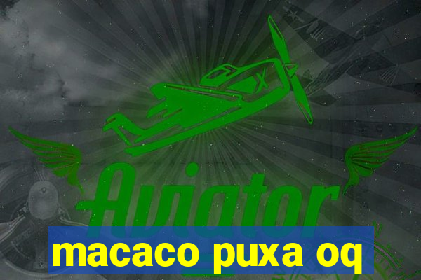 macaco puxa oq