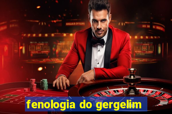 fenologia do gergelim