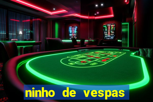 ninho de vespas significado espiritual