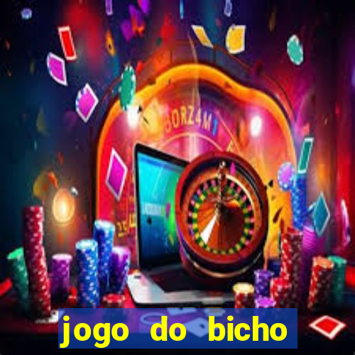 jogo do bicho crash bingo